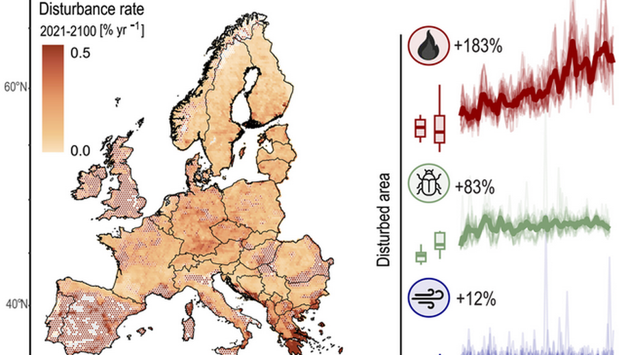 Climate change will increase forest disturbances in Europe throughout the 21st century