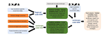 A perspective on the need for integrated frameworks linking species distribution and dynamic forest landscape models across spatial scales