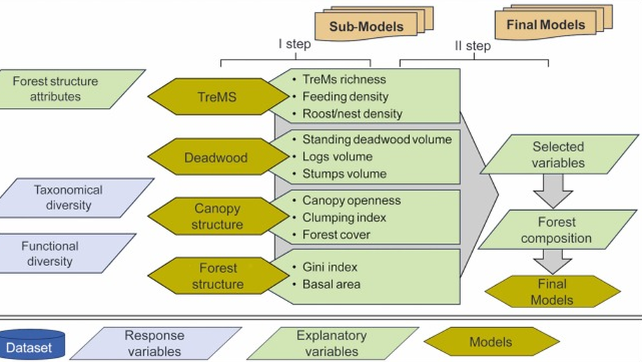 Relating forest structural characteristics to bat and bird diversity in the Italian Alps