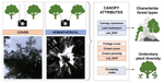 Reliability of canopy photography for forest ecology and biodiversity studies